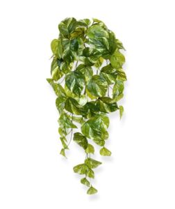 Umělá rostlina Pothos vario (60cm)
