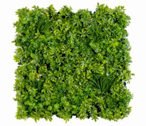 Panel Wall Schefflera (100x100cm)