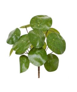 Umělá rostlina Pilea (25cm)