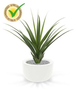 Umělá rostlina Ananasovník UV (90 /70cm)