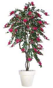 Umělý strom Bougainvillea Twisted (210cm)