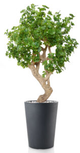 Umělý strom Ginkgo Crown (180cm)