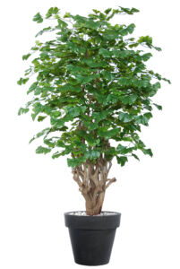 Umělý strom Ginkgo Malabar