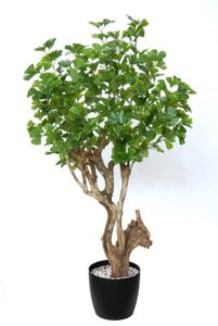 Umělý strom Ginkgo Robustina (120cm)