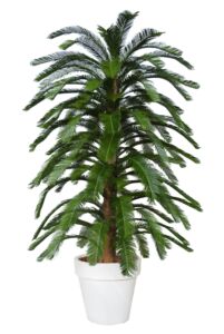 Umělá palma Cycas Florida (230cm)
