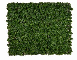 Umělý živý plot Schefflera (100cm x 2m)
