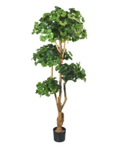Umělá bonsai Ginko (170cm)
