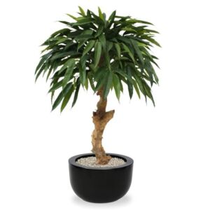 Umělý strom Ficus Longifolia – na kmeni (90cm)