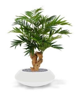 Umělá palma Parlour (65-95cm)