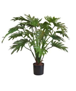 Umělá rostlina Philodendron Xanadu (65cm)