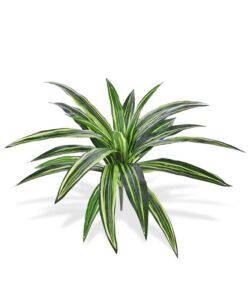 Umělá rostlina Dracena Massangeana  (40cm)