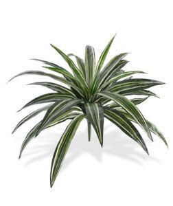 Umělá rostlina Dracena Vario (40cm)