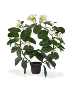 Umělá rostlina Stephanotis – aranže (40cm)