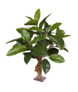 Umělý strom Ficus Elastica – na kmeni  (70cm)