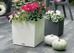 Květináč Lechuza Cube 50 Cottage (50cm)