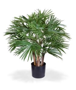 Umělá palma Vějířovitá deluxe (70cm)