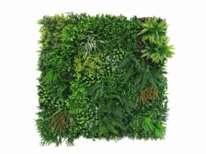 Panel Wall 8 (100x100cm)