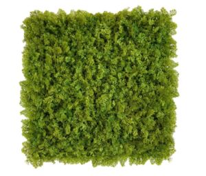 Panel umělý Lišejník NL (50x50cm)