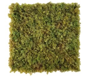 Panel umělý Lišejník NL (50x50cm)