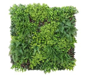 Panel Wall Fresh (100x100cm)