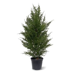 umělá rostlina Cypřiš Thuja (50cm) – v květináčí