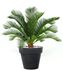 Umělá palma Cycas Plant (40cm)