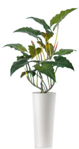 Umělá rostlina Philo Opal Lux (180cm)