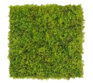 Panel umělý Lišejník NL (50x50cm)