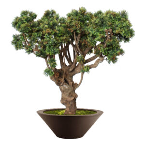 Umělý strom Boxwood Mini Robusta (120cm)
