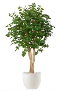 Umělý strom Ginkgo Florida (200cm)