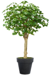 Umělý strom Ginkgo Riviera (200cm)