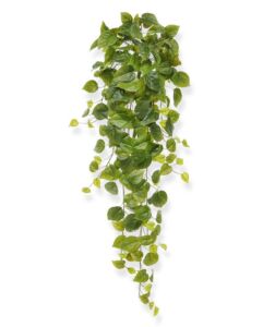 Umělá rostlina Pothos – zelený  (80cm)