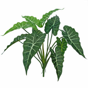 Umělá rostlina Taro Plant (50cm)