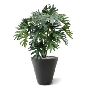 Umělá rostlina Philodendron Selloum (100cm)
