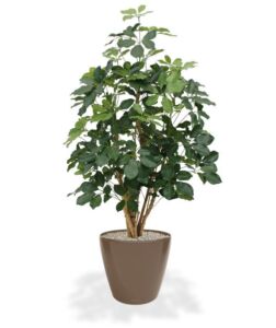 Umělý strom Schefflera Exotica (120cm)