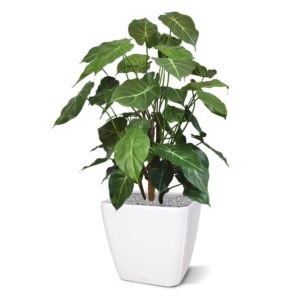 Umělá rostlina Syngonium DLX (85cm)