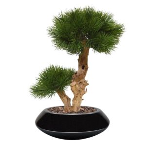Umělý Bonsai Pinie (55cm)