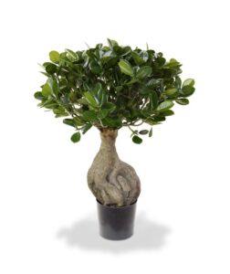 Umělá bonsai Panda (55cm)