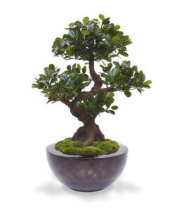Umělá bonsai Panda (75cm)