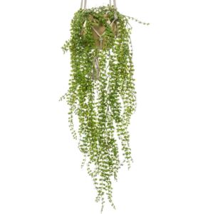Umělá rostlina Ficus Pumila (80cm) – UV