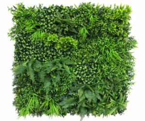 Panel Wall Ruscus (100x100cm)
