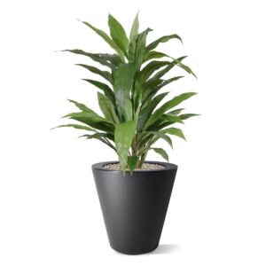 Umělá rostlina Dracaena (80cm) – zelená