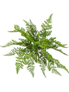 Umělá rostlina Fern Wood Bush (30cm)