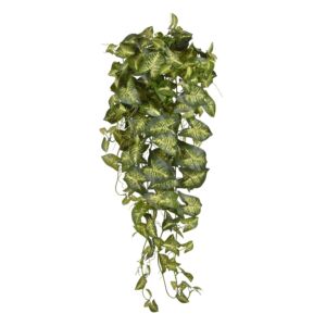 Umělá rostlina Syngonium (90cm)