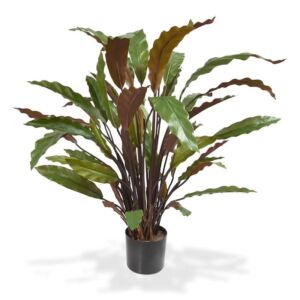 Umělá rostlina Calathea  (60cm) – červená
