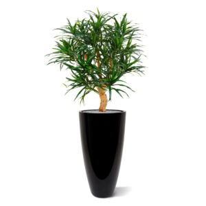 Umělý strom Dracaena  Reflexa Anita (95cm)