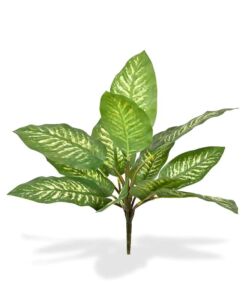 Umělá rostlina Dieffenbachia Zebra (25cm)