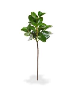 Umělá rostlina Peperomia Obtusifolia (50cm)