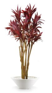 Umělý strom Cordyline Florida (240cm) – burgundy