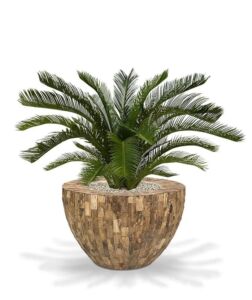 Umělá palma Cycas DeLuxe (80cm)